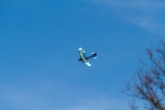 WEB-20110402-5239