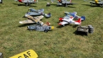 IMG-20230729-WA0004