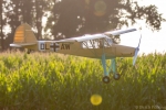 Fieseler-Storch-30