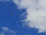 Flugtag11
