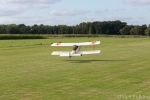 Strutter-2