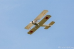 Strutter-3