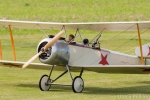 Strutter-6