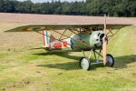 Sommerfest-2014-4