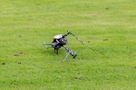 Sommerfest-14