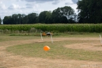 Sommerfest2019-24