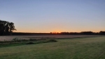 IMG-20200731-WA0005